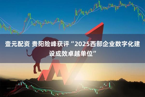 壹元配资 贵阳险峰获评“2025西部企业数字化建设成效卓越单位”