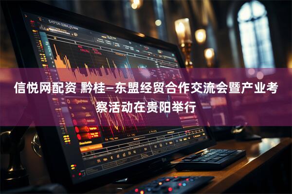 信悦网配资 黔桂—东盟经贸合作交流会暨产业考察活动在贵阳举行