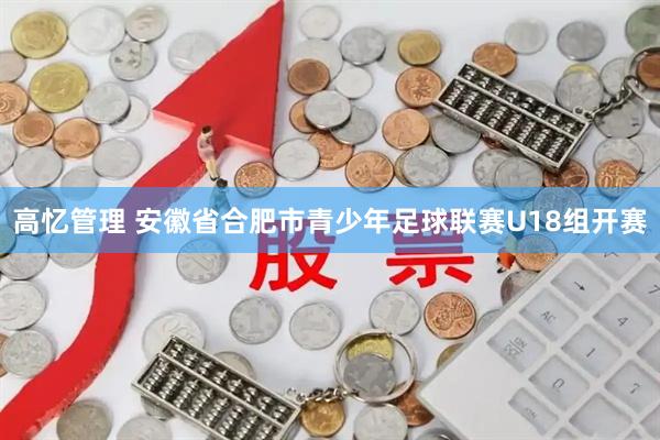 高忆管理 安徽省合肥市青少年足球联赛U18组开赛