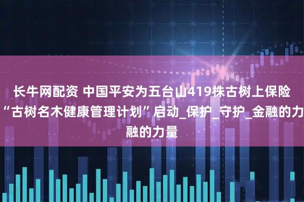 长牛网配资 中国平安为五台山419株古树上保险，“古树名木健康管理计划”启动_保护_守护_金融的力量