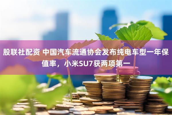 股联社配资 中国汽车流通协会发布纯电车型一年保值率，小米SU7获两项第一