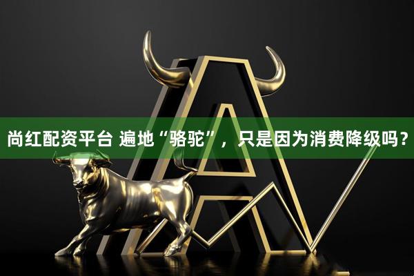 尚红配资平台 遍地“骆驼”，只是因为消费降级吗？