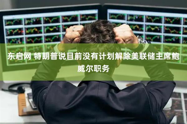 东启网 特朗普说目前没有计划解除美联储主席鲍威尔职务